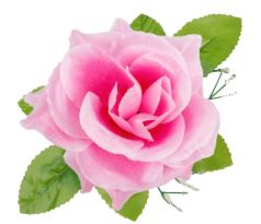 Umelá ruža saténová s lístkom ružová