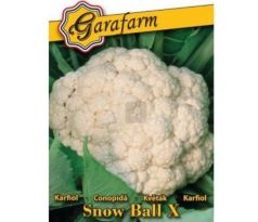 Karfiol Snow Ball skoré a jesenné pestovanie