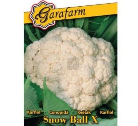 Karfiol Snow Ball skoré a jesenné pestovanie